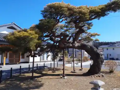 浄土寺(岩手県)