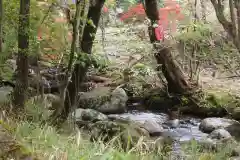 深山巴の宿の自然