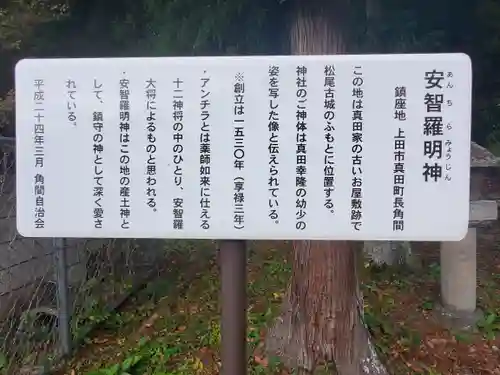 安智羅神社(松尾古城跡)の歴史