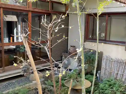 遠照山 光明寺（尼崎大仏）(兵庫県)