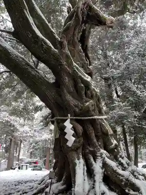 大杉神社 境内社 勝馬神社の{uncategorized: "未分類", other: "その他", undefined: "問題あり", building: "その他建物", grave: "お墓", sacred_gate: "鳥居", guardian: "狛犬", statue: "像", buddha: "仏像", history: "歴史", nature: "自然", garden: "庭園", animal: "動物", pagoda: "塔", temizu: "手水舎", mountain_gate: "山門・神門", sanctuary: "本殿・本堂", subordinate: "末社・摂社", art: "芸術", scenery: "景色", jizo: "地蔵", ema: "絵馬", goshuin: "御朱印", omikuji: "おみくじ", items: "授与品その他", amulet: "お守り", goshuincho: "御朱印帳", eats: "食事", festival: "お祭り", votive_dance: "神楽", shichigosan: "七五三参", wedding: "結婚式", experience: "体験その他", initially: "初詣", around: "周辺", anti_infection: "感染症対策"}