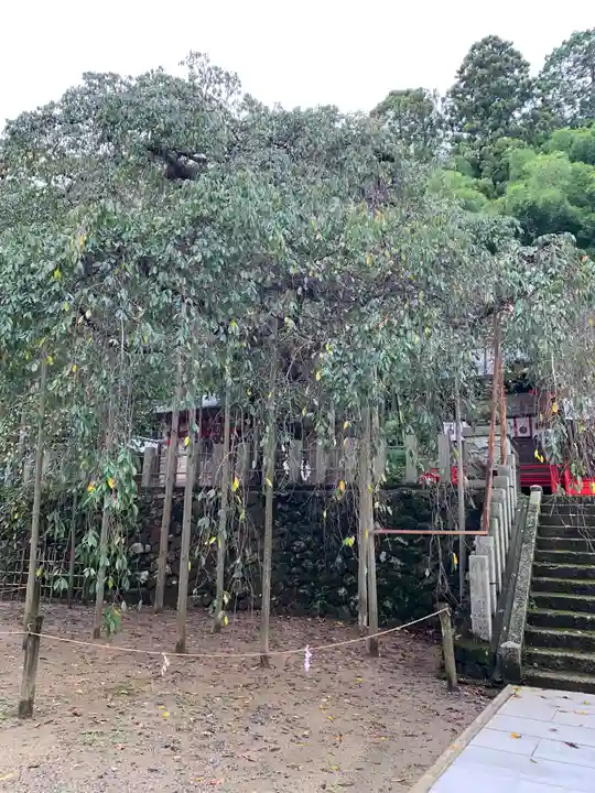 小川諏訪神社の庭園