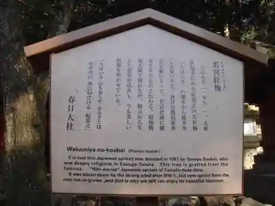 春日大社の歴史