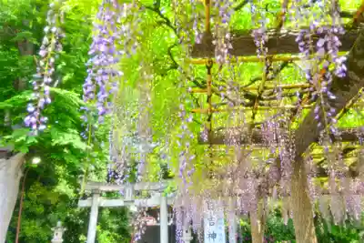 日吉神社(東京都)