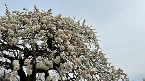 神前神社(岡山県)