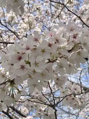 六孫王神社(京都府)