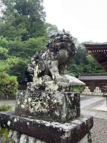 出雲大神宮の狛犬