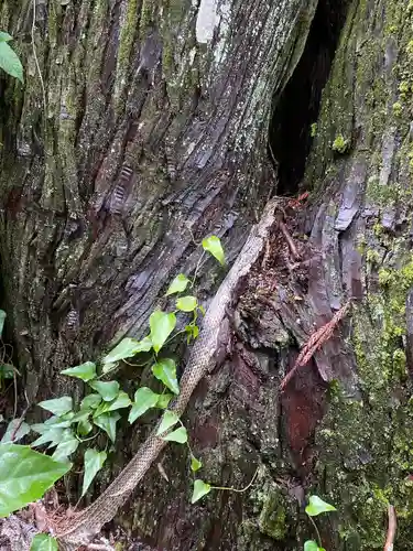 御鋒神社(岡山県)