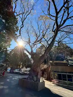 金華山黄金山神社(宮城県)