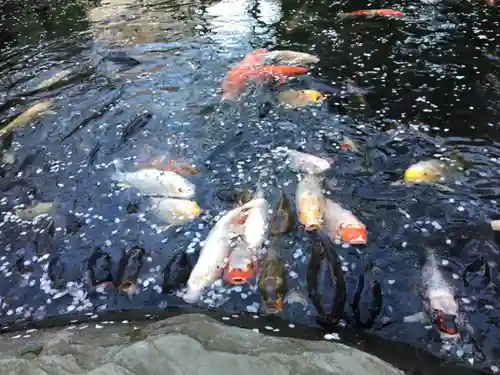 愛宕神社のその他建物
