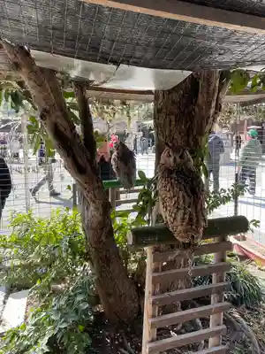 宮地嶽神社(福岡県)