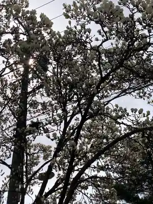 穂高神社本宮(長野県)