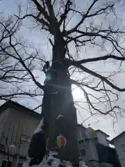 八坂神社(岩手県)