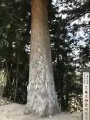 三春大神宮の建物その他