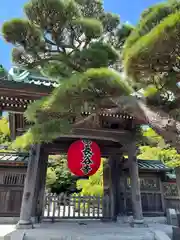 長谷寺の山門