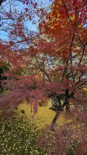 岩屋寺(京都府)