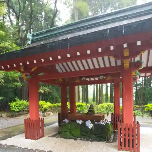 霧島神宮の手水舎