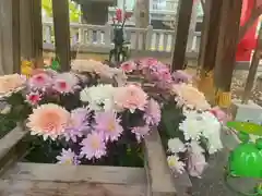 彌彦神社　(伊夜日子神社)(北海道)