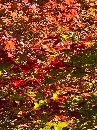 大法院(京都府)