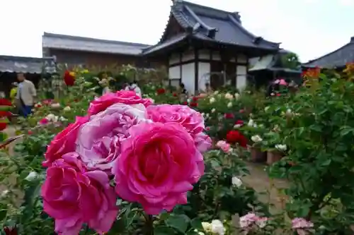 おふさ観音の庭園