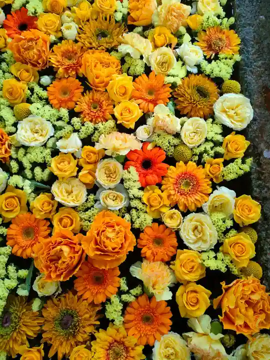 津島神社の手水舎