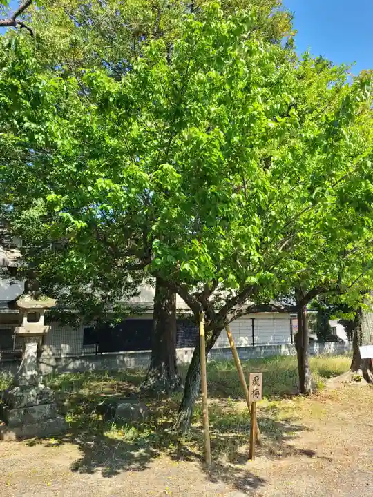 田代八坂神社(佐賀県)