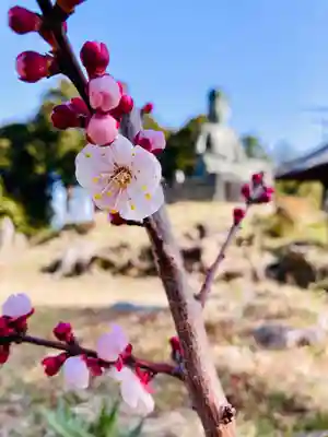 高平山遍照寺の自然