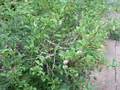 青龍山 吉祥寺(群馬県)