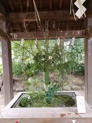赤坂氷川神社(東京都)