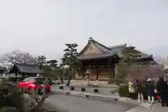 妙蓮寺の本殿