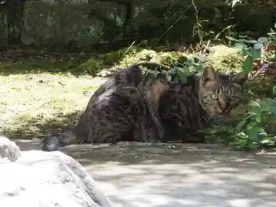 長岳寺(奈良県)