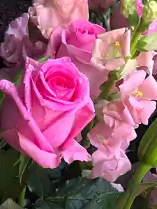 上尾御嶽神社の手水舎(2024年01月13日(土) 14時47分08秒投稿)