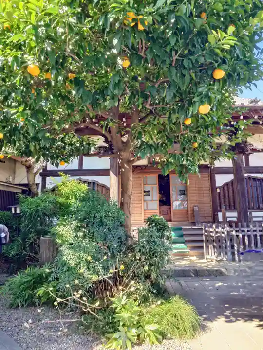 佛心寺(東京都)