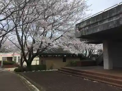 水神神社の自然