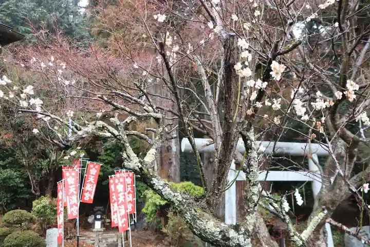 鹿島大神宮の自然