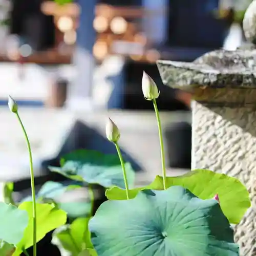浄土寺(兵庫県)