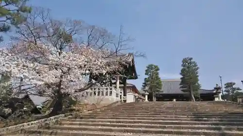 くろ谷 金戒光明寺のその他建物