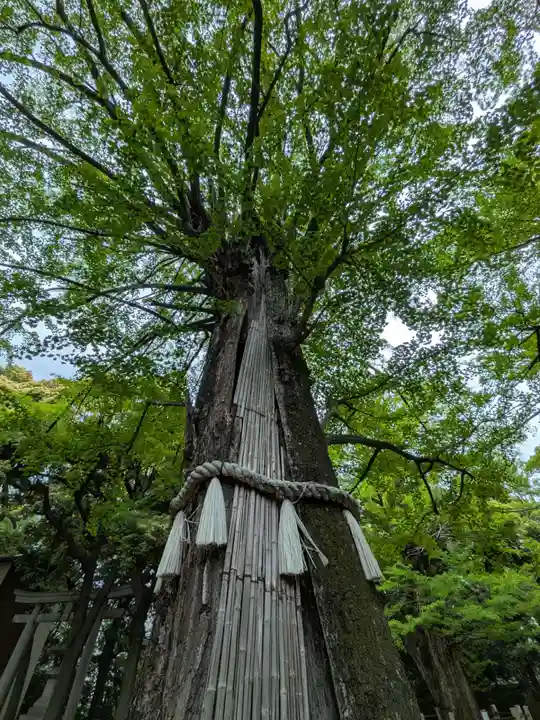 赤坂氷川神社(東京都)
