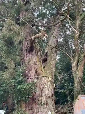 高岡神社(岡山県)