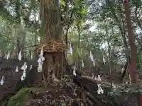 佐為神社の{uncategorized: "未分類", other: "その他", undefined: "問題あり", building: "その他建物", grave: "お墓", sacred_gate: "鳥居", guardian: "狛犬", statue: "像", buddha: "仏像", history: "歴史", nature: "自然", garden: "庭園", animal: "動物", pagoda: "塔", temizu: "手水舎", mountain_gate: "山門・神門", sanctuary: "本殿・本堂", subordinate: "末社・摂社", art: "芸術", scenery: "景色", jizo: "地蔵", ema: "絵馬", goshuin: "御朱印", omikuji: "おみくじ", items: "授与品その他", amulet: "お守り", goshuincho: "御朱印帳", eats: "食事", festival: "お祭り", votive_dance: "神楽", shichigosan: "七五三参", wedding: "結婚式", experience: "体験その他", initially: "初詣", around: "周辺", anti_infection: "感染症対策"}