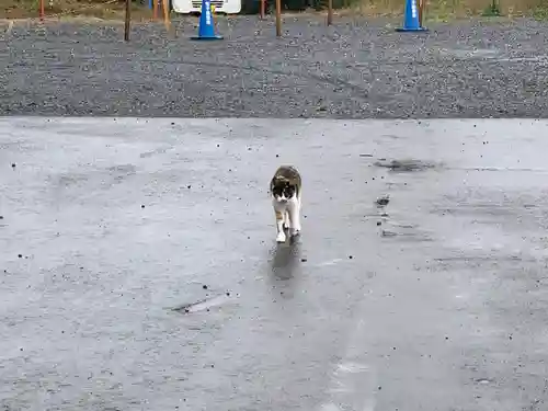 寺岡山元三大師の動物