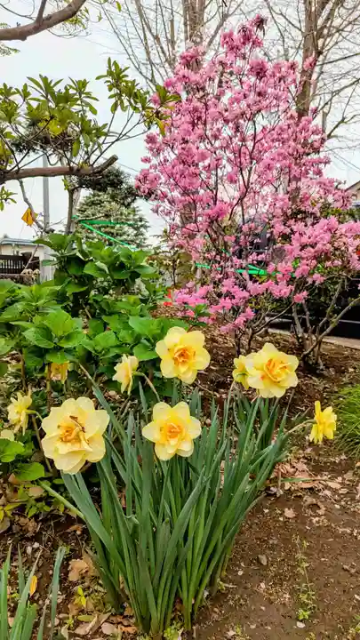 大宮・大原神社の自然