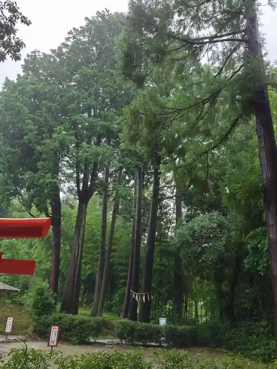 飯盛神社(福岡県)