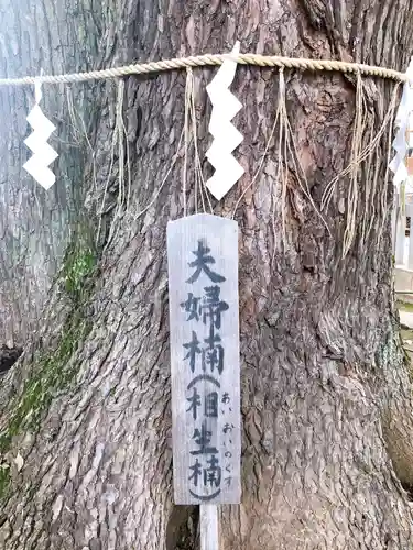 諏訪神社の自然