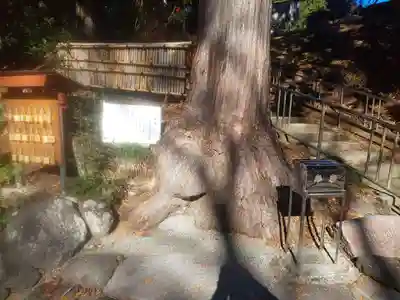 神場山神社の自然