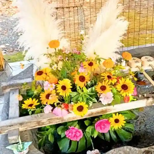 彌彦神社　(伊夜日子神社)の手水舎