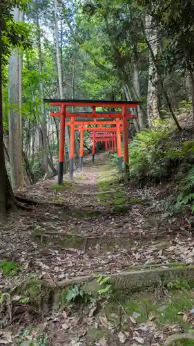 岩屋神社(京都府)