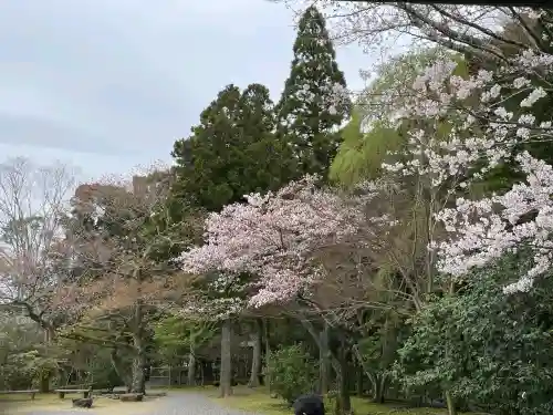 伊勢神宮内宮（皇大神宮）の{uncategorized: "未分類", other: "その他", undefined: "問題あり", building: "その他建物", grave: "お墓", sacred_gate: "鳥居", guardian: "狛犬", statue: "像", buddha: "仏像", history: "歴史", nature: "自然", garden: "庭園", animal: "動物", pagoda: "塔", temizu: "手水舎", mountain_gate: "山門・神門", sanctuary: "本殿・本堂", subordinate: "末社・摂社", art: "芸術", scenery: "景色", jizo: "地蔵", ema: "絵馬", goshuin: "御朱印", omikuji: "おみくじ", items: "授与品その他", amulet: "お守り", goshuincho: "御朱印帳", eats: "食事", festival: "お祭り", votive_dance: "神楽", shichigosan: "七五三参", wedding: "結婚式", experience: "体験その他", initially: "初詣", around: "周辺", anti_infection: "感染症対策"}