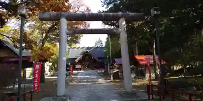 上富良野神社の鳥居