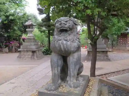 鳩森八幡神社の狛犬